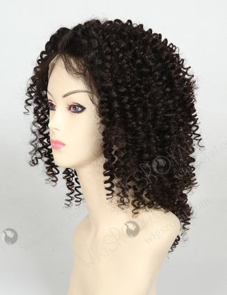 Curly Human Hair Wigs for Black Women WR-LW-001