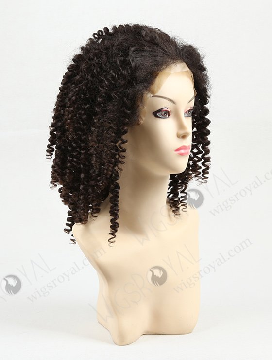 Curly Human Hair Wigs for Black Women WR-LW-003-872