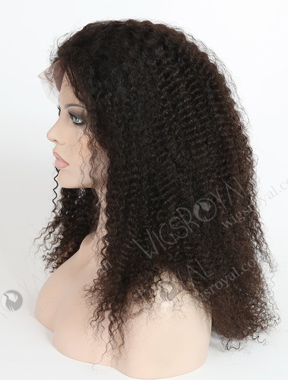 Brazilian Hair Kinky Curly Wig For Black Women WR-LW-026-1293