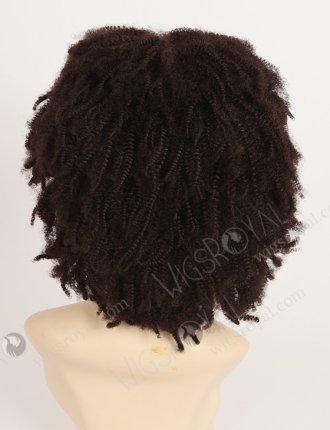 100 Human Hair African American Afro Wigs WR-LW-058