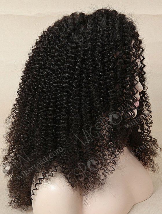 Small Curl Thick Human Hair Wig WR-LW-047-1830