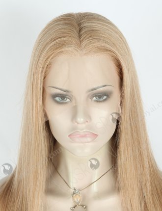 Blended Color Straight Hair Frontal Wig MLF-04002