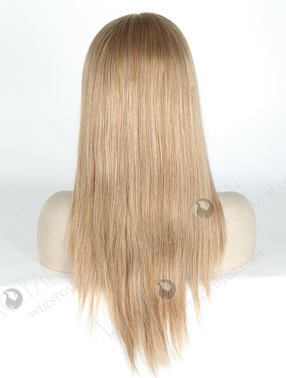 Blended Color Straight Hair Frontal Wig MLF-04002-1713
