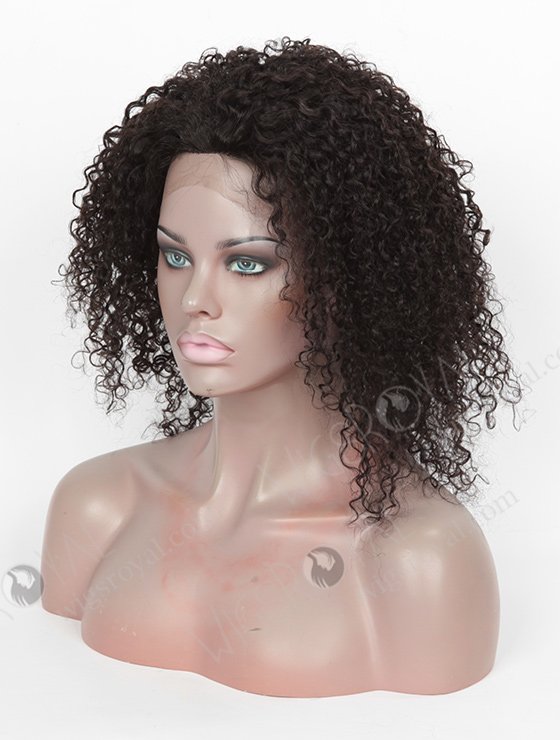 High Quality Raw Indian Hair Full Lace Wig WR-LW-090-3582