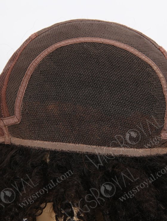 Afro Curl African American Wigs WR-GL-029-8713
