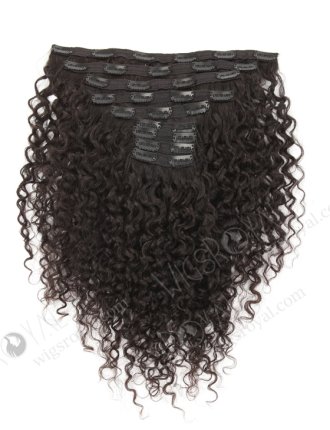 High Quality Brazilian Virgin Hair Clip in Weft Hair Extensions WR-CW-010
