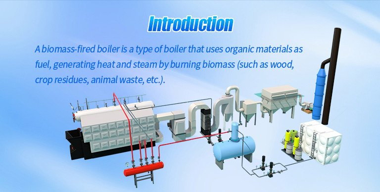 Biomass fired boiler Biomass fired boiler