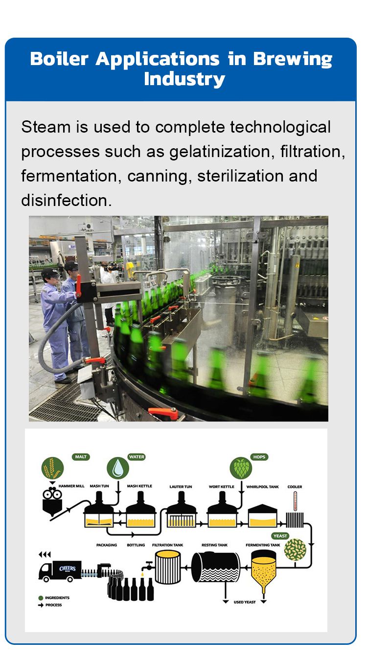 Boiler application in beer industry
