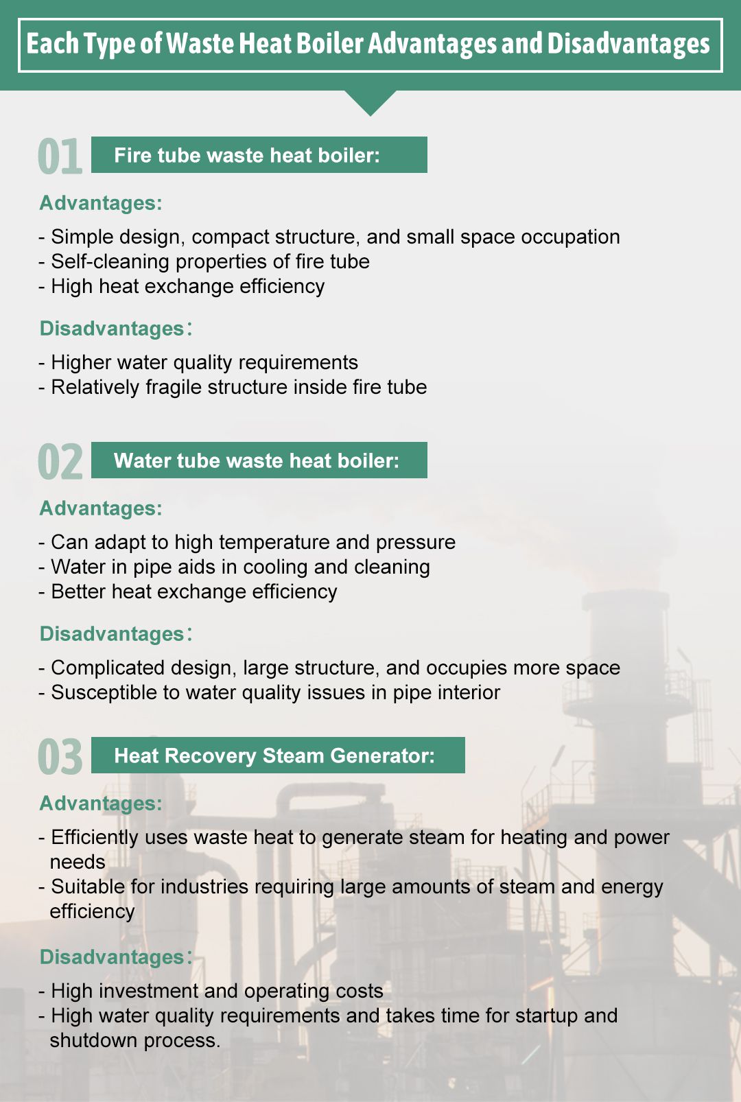 Selected Waste Heat Boiler