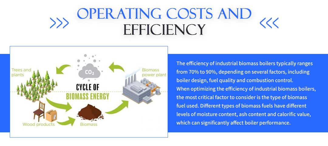 Industrial Biomass Boiler:Prices and Running Costs