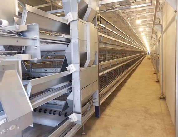 Top Quality H Frame Layer Cage Automatic Chicken Layer Cage Electric Layer Cages