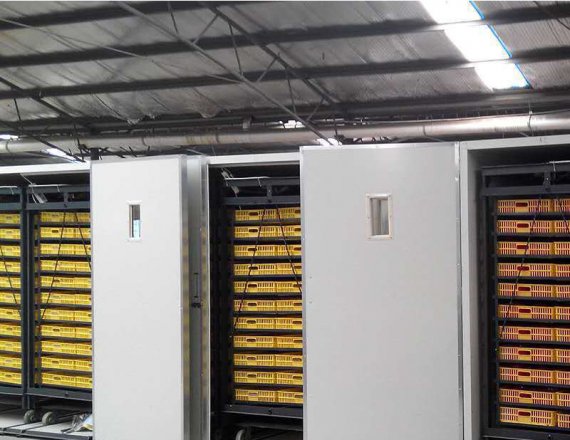 Chicken Egg Hatching Machine Incubator