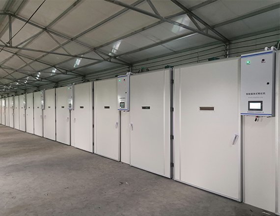 192 Series Individual Incubator Hatchery