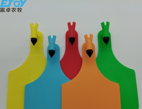 Pig Farming Accessory