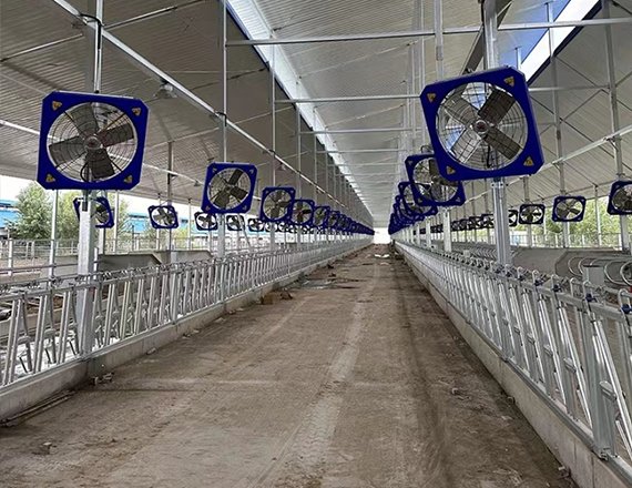 High Quality Automatic Hot-Dip Galvanized Cattle Farm Headlocks