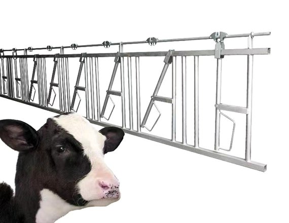 High Quality Automatic Hot-Dip Galvanized Cattle Farm Headlocks