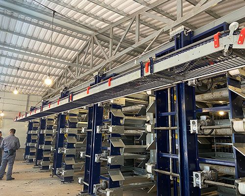 layer house egg conveyor