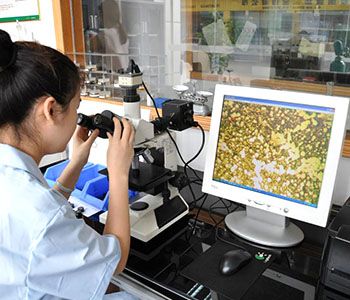 factory material testing