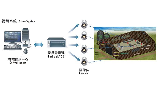chicken farm remote management