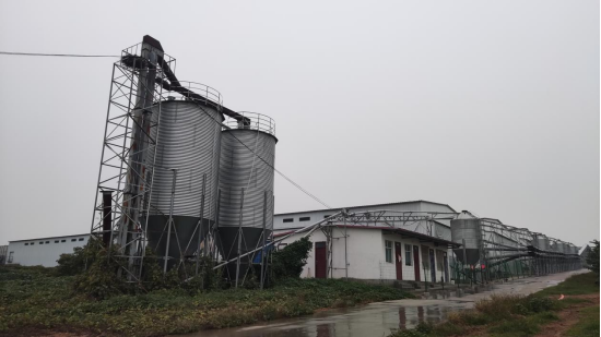 poultry farm outside