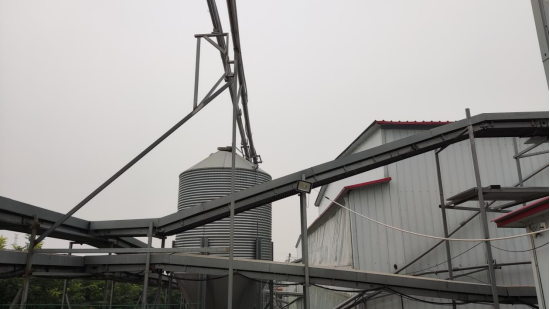 silo and egg conveyor