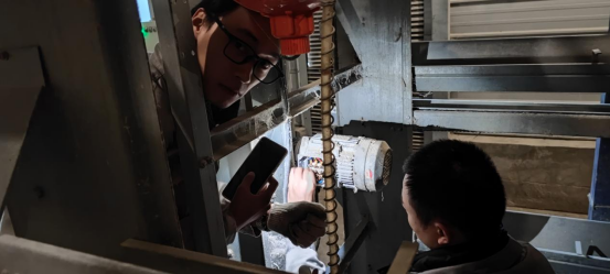 egg conveyor service1