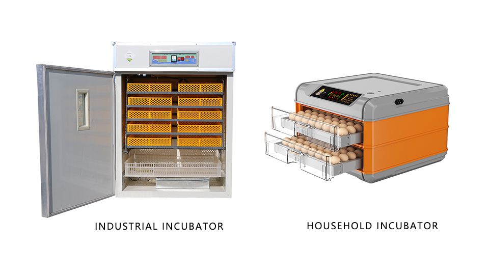incubator