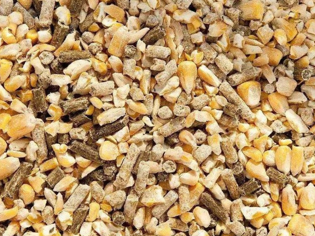 Mycotoxins feed