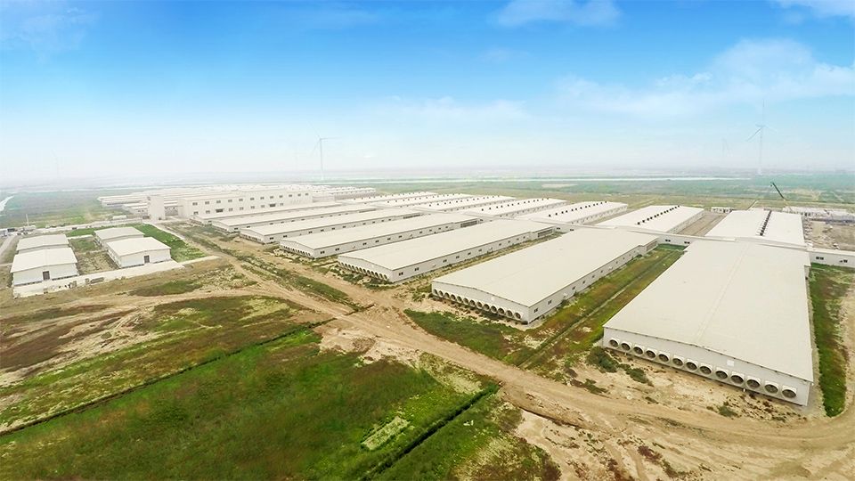 chicken house location