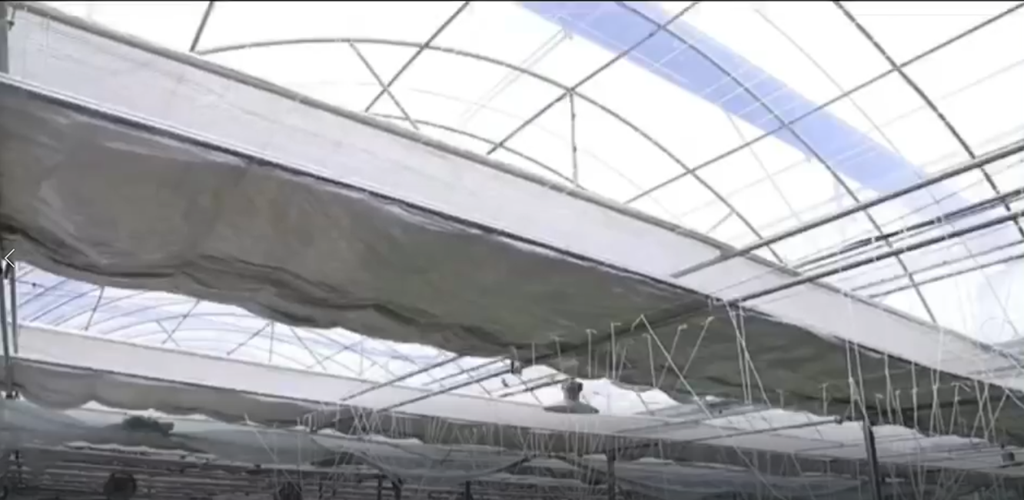 微信截图_20220614124150_副本