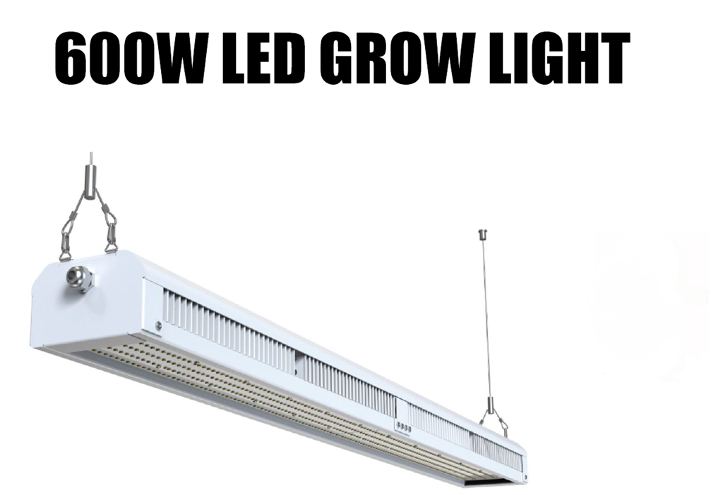 微信截图_20220614130845_副本