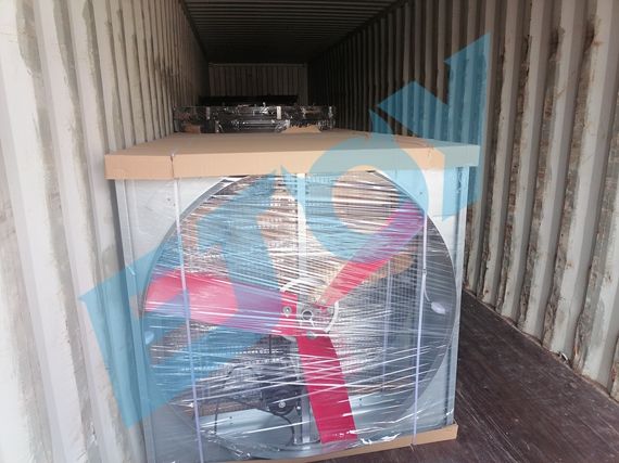 chicken farm equipment