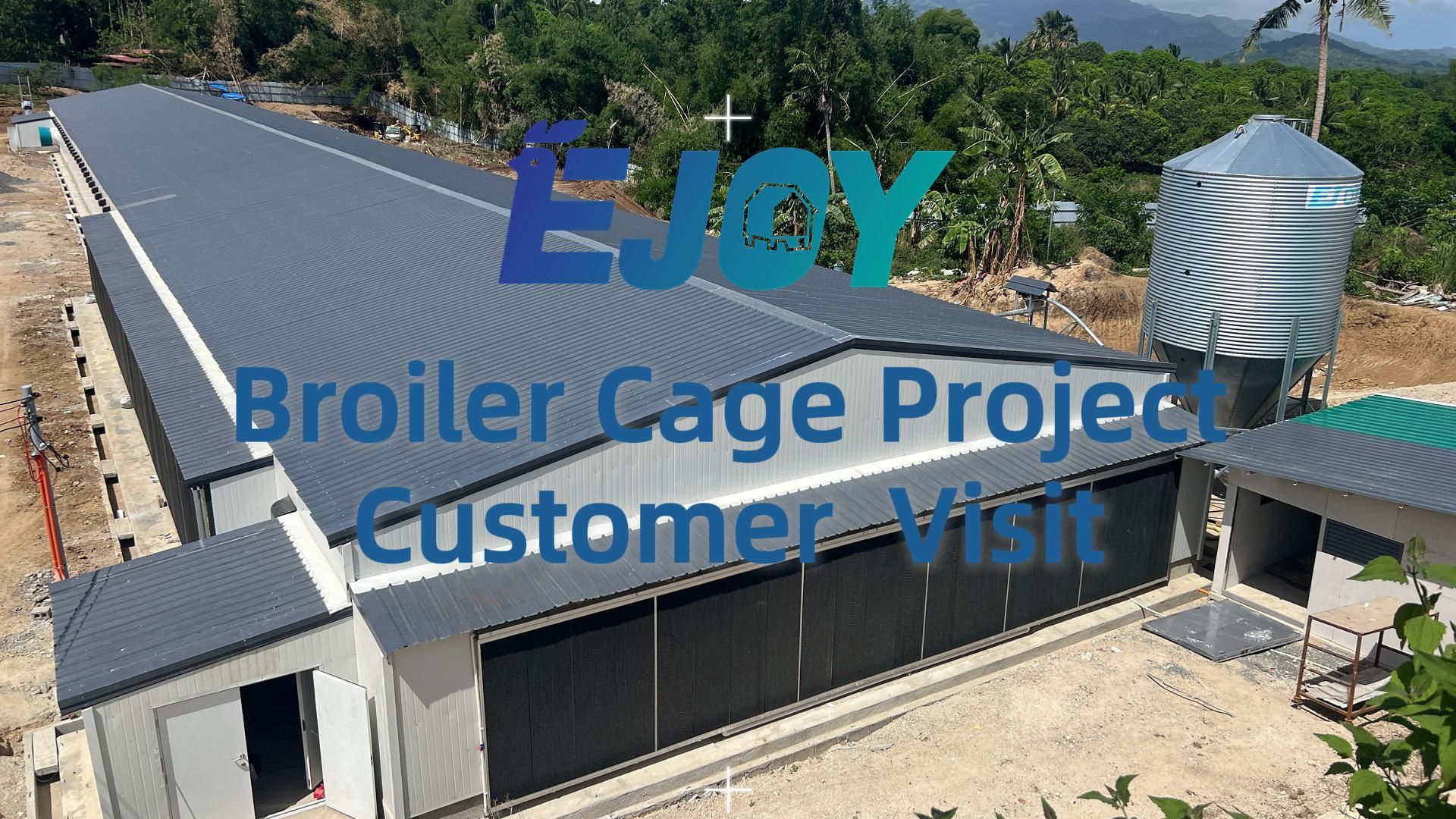 Philippines Layer Chicken Project