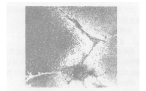 Fig . 6 Cry stal bound oxidation and copper compound