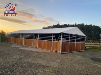 En Nouvelle-Zélande