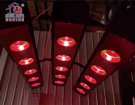 Solarium pour chevaux