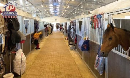 Top 6 choses à savoir sur les écuries de chevaux