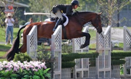 Entrer dans l'équitation professionnelle