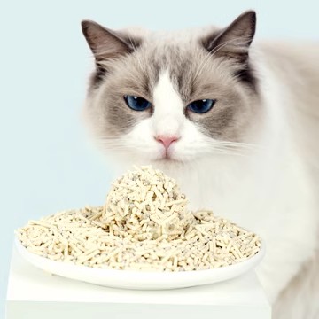 O1CN01Egu8wl1IlMHThgDVO_!!1684310933