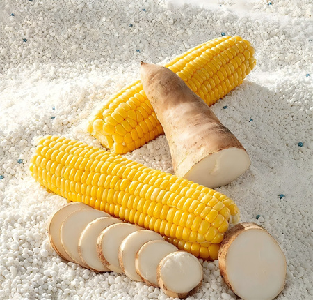 dd2d48b9-cf4e-4302-ba56-81408e2a73b9