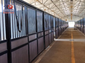 في الاتحاد الأوروبي