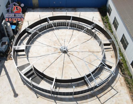 مشاية الحصان