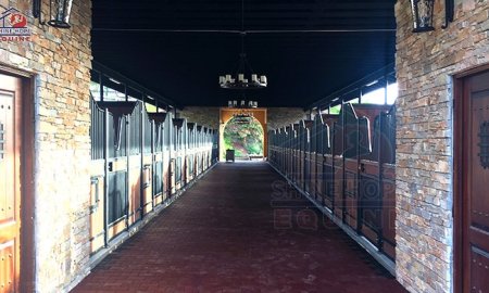 أكشاك الخيول المصنوعة بواسطة ShineHope Equine (مبيعات المصنع مباشرة)