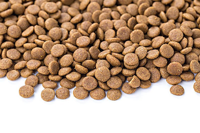 feed additive1.jpg