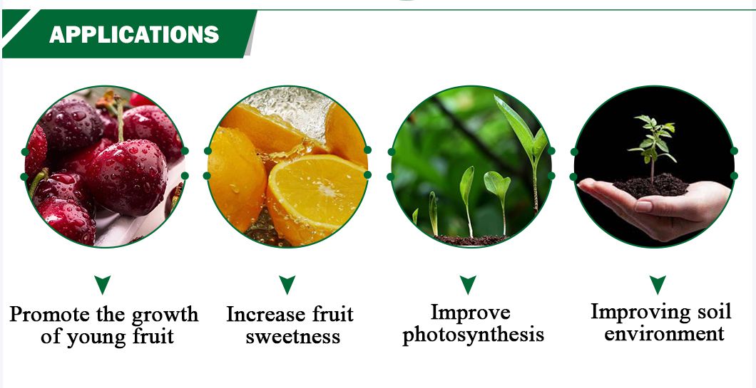 Sea fish peptide protoplasm