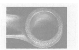 Fig . 5 Surface chap o n little head