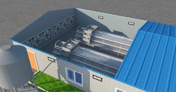 closed Chicken cage house