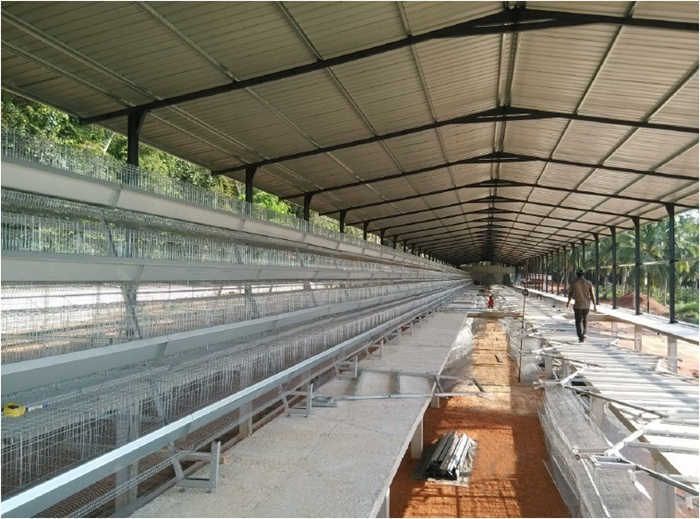 1. opened layer chicken house