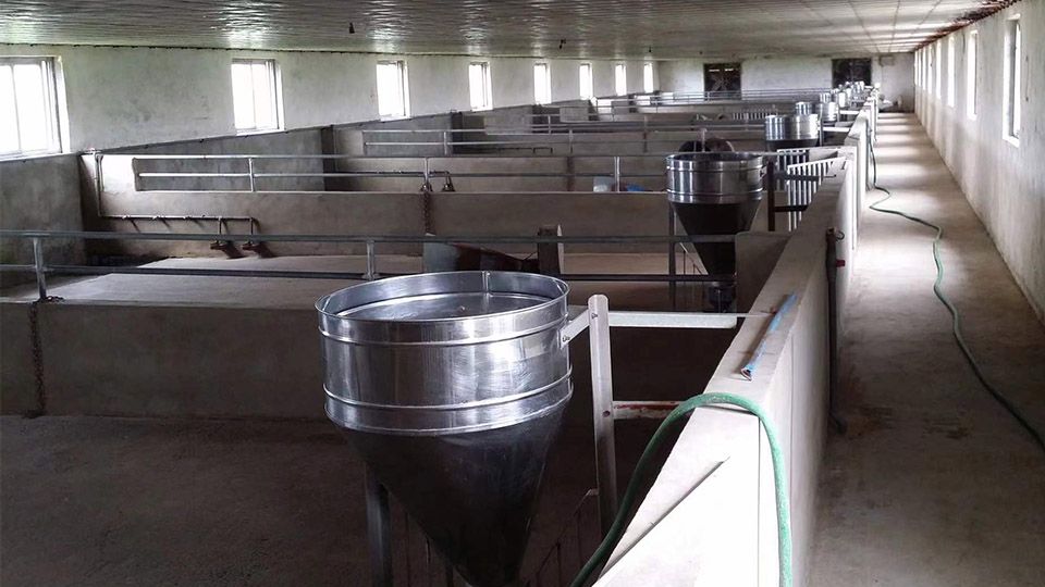 Sistema de alimentación automático