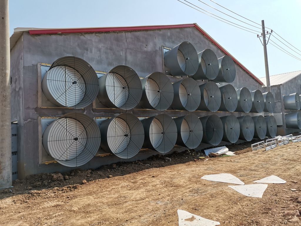 chicken house exhaust fan
